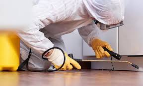 Real Estate Pest Inspections in Northlake, IL